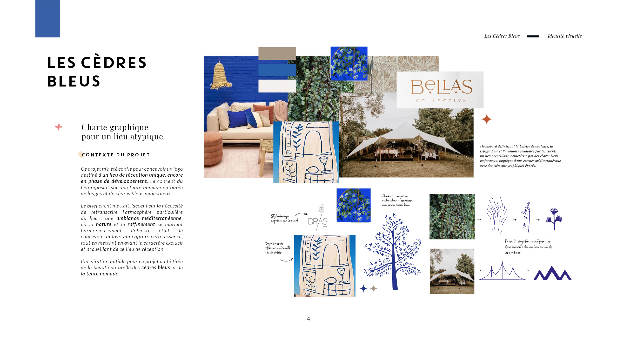 présentation projet les cèdres bleus identité visuelle et logo